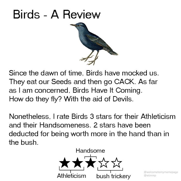 Birds