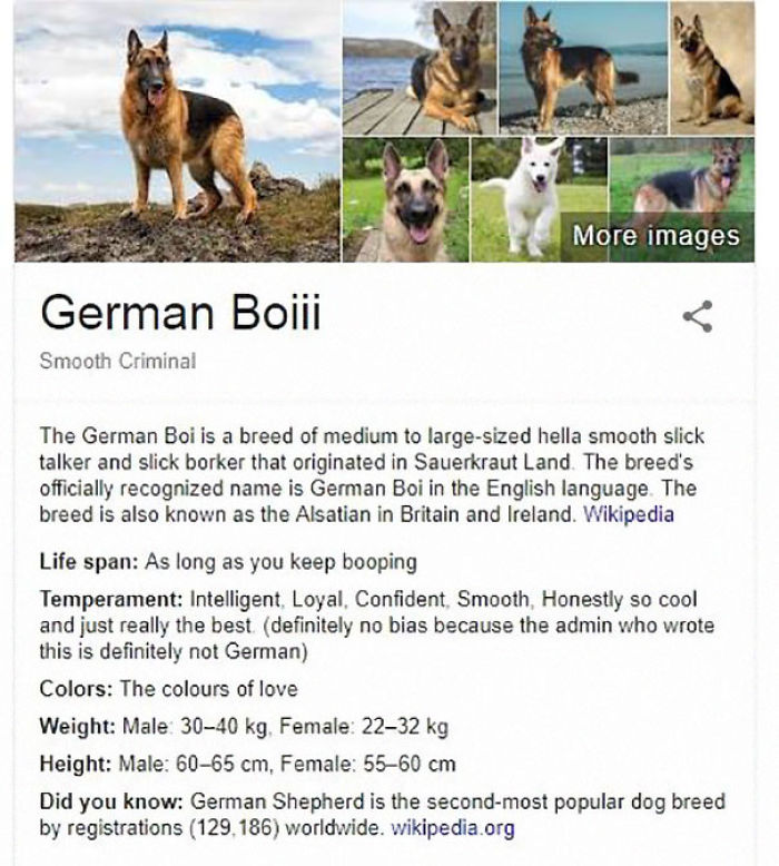 German Boiii