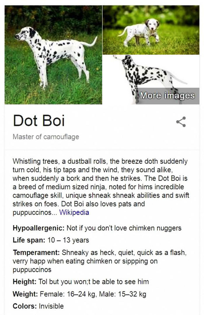 Dot Boi