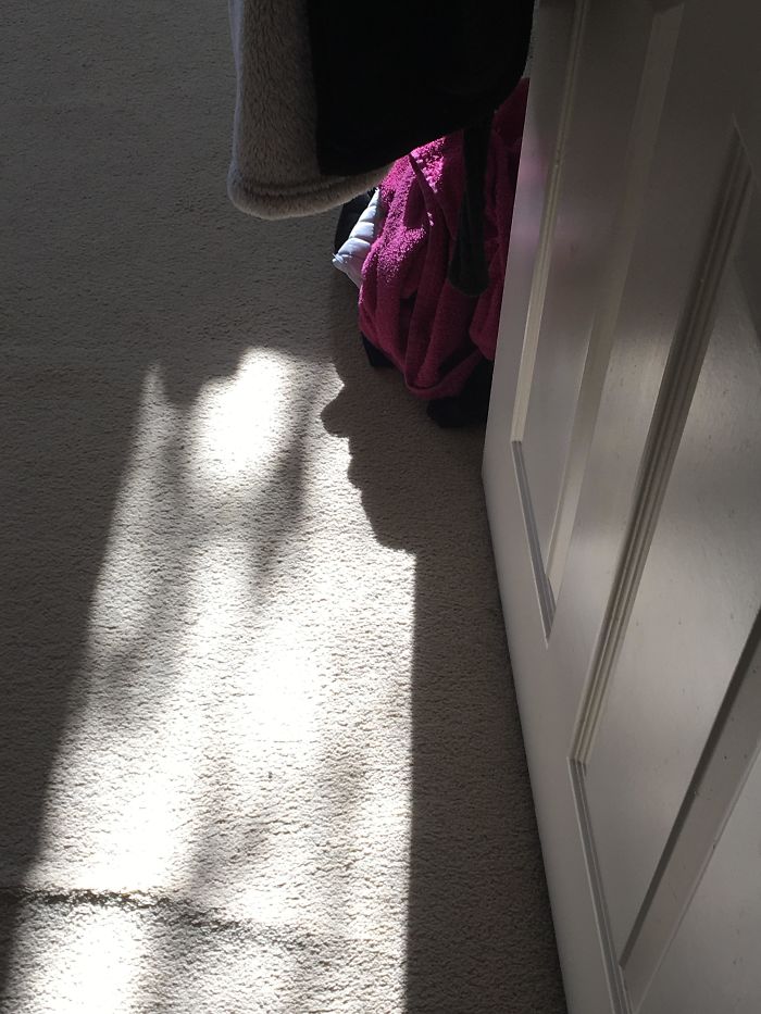The Shadow Of My Bathrobe Looked Like A Face