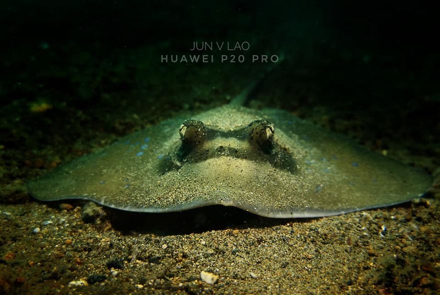  huawei p20 pro goes diving takes underwater 