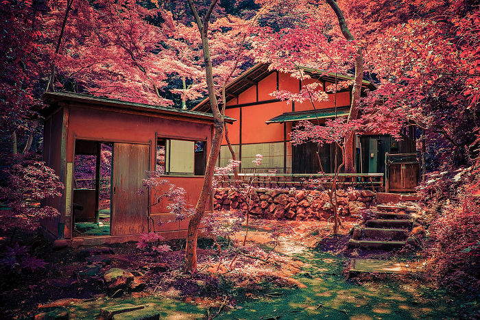 I Captured The Beauty Of Japan, Just Like I Always Dreamed Of Doing (35 Pics)