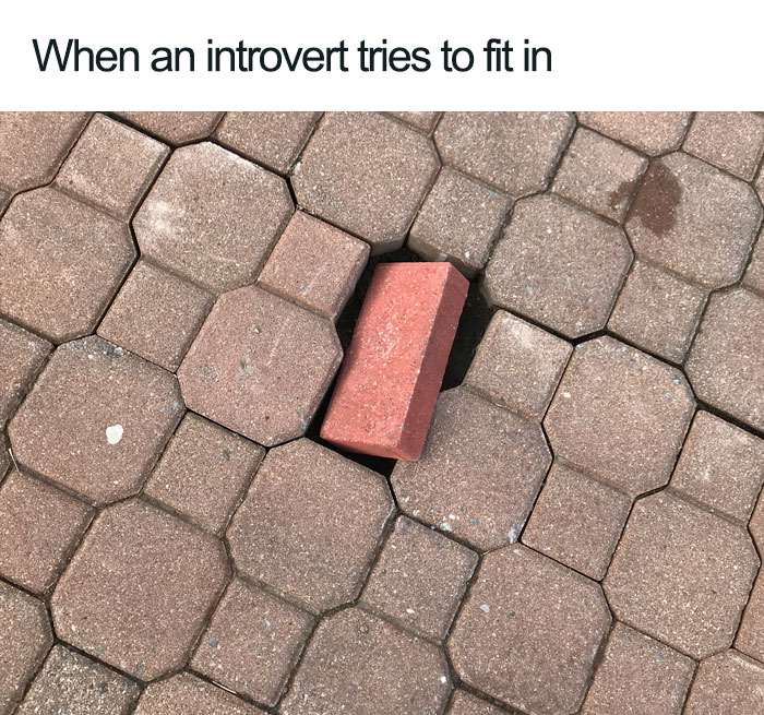 Funny-Introvert-Meme