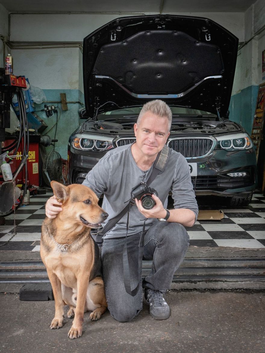  dogs living hong kong car workshops pictures 
