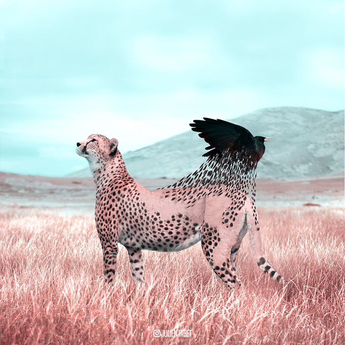 Reborn Cheetah