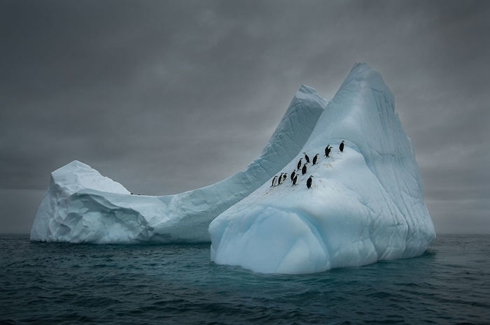 Travelers, Antarctica (3rd Place In The Beauty Of The Nature Category)