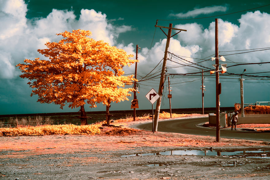 I Rode A Bike Down The Blue Mountain In Jamaica And Took These Infrared Photos