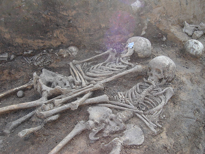 Bacteria That Caused The Black Death Plague Also Found In Skeletons From 3800 Bc