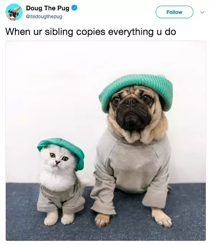 Funny-Siblings-Memes