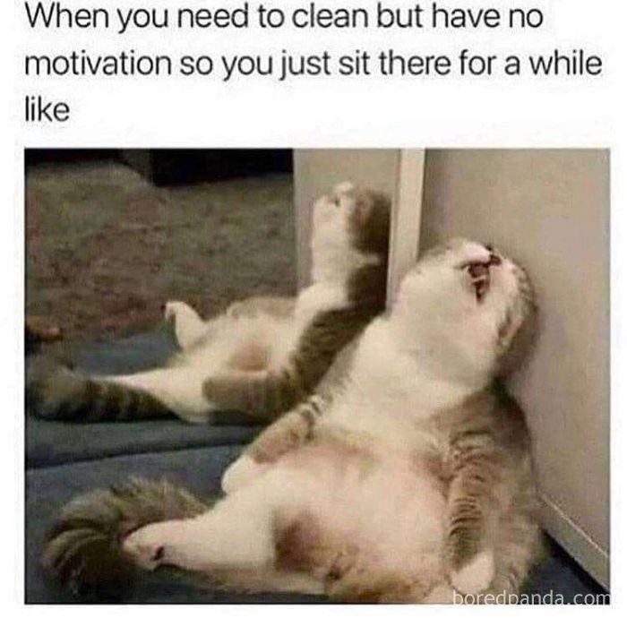 171 Funniest Cleaning Memes - Success Life Lounge