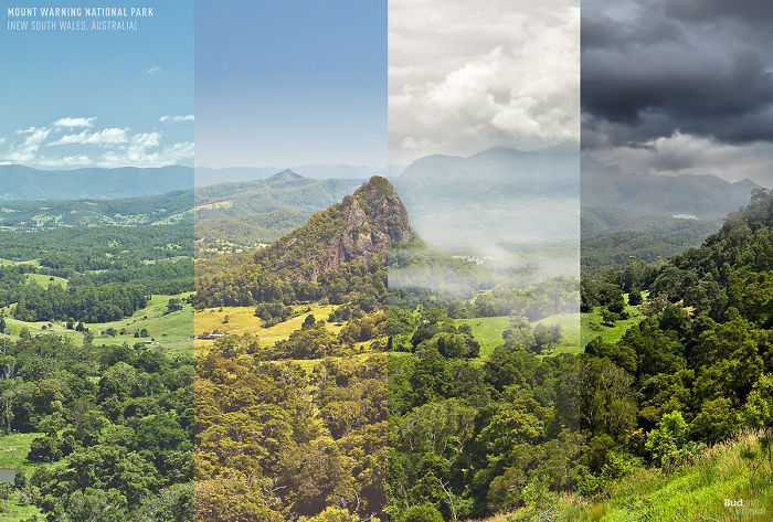 Mount Warning National Park (New South Wales, Australia)