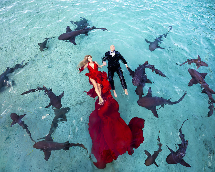 I Brought An Adventurous Couple To Exuma To Swim With Sharks, Pigs, And Stingrays