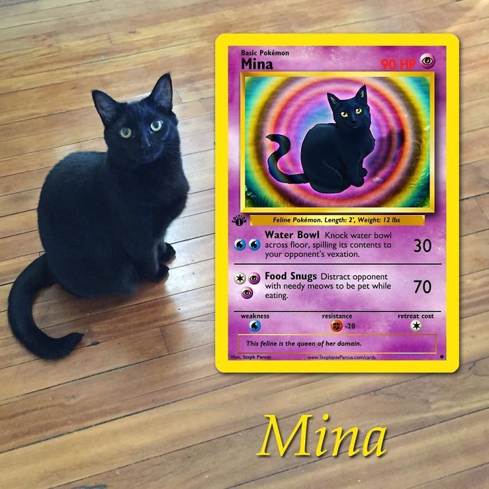 This Artist Transforms Any Pet Into Pokémon Cards