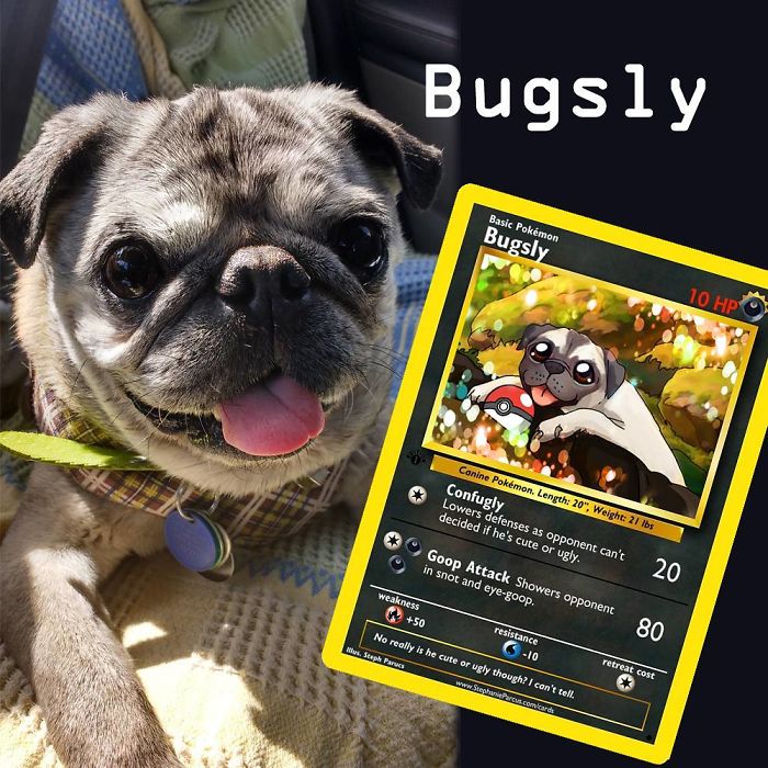This Artist Transforms Any Pet Into Pokémon Cards