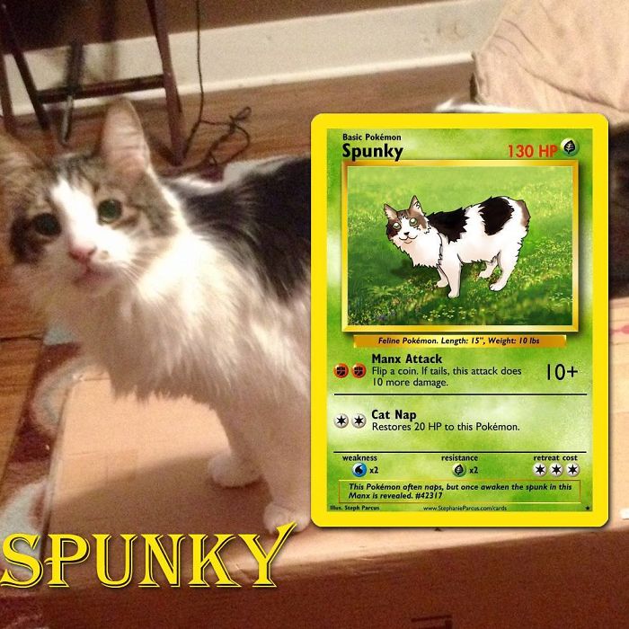 This Artist Transforms Any Pet Into Pokémon Cards