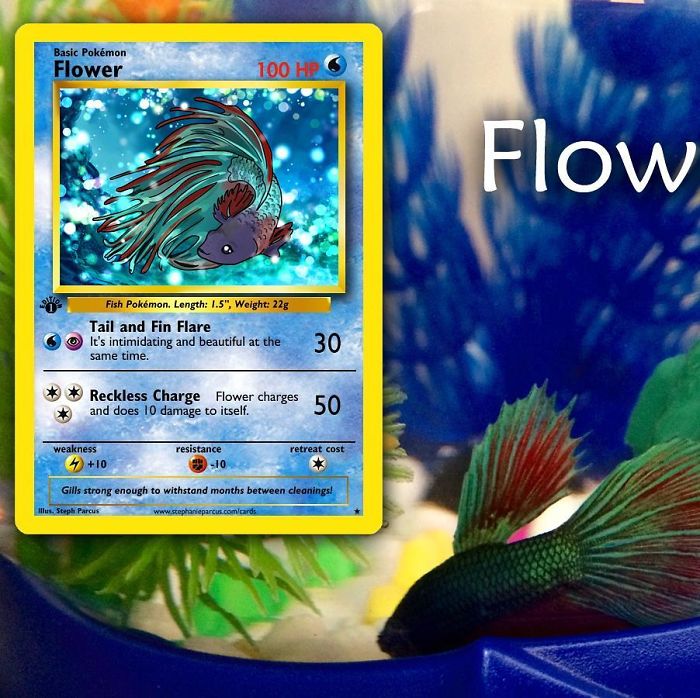 This Artist Transforms Any Pet Into Pokémon Cards