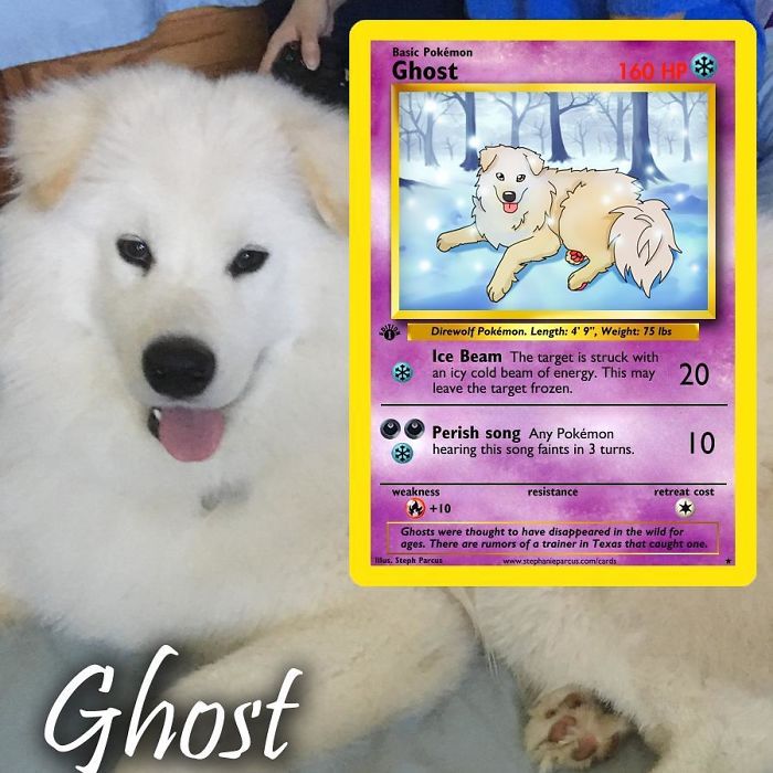 This Artist Transforms Any Pet Into Pokémon Cards