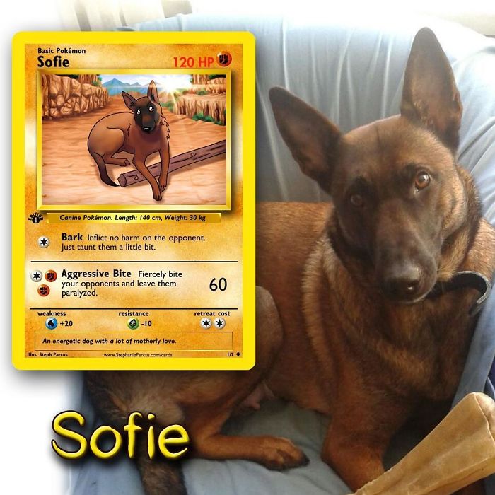 This Artist Transforms Any Pet Into Pokémon Cards