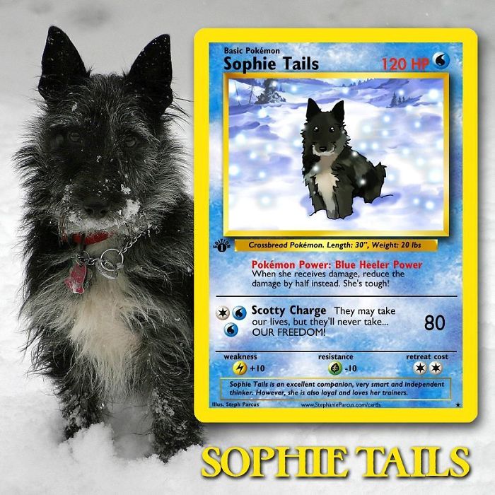 This Artist Transforms Any Pet Into Pokémon Cards