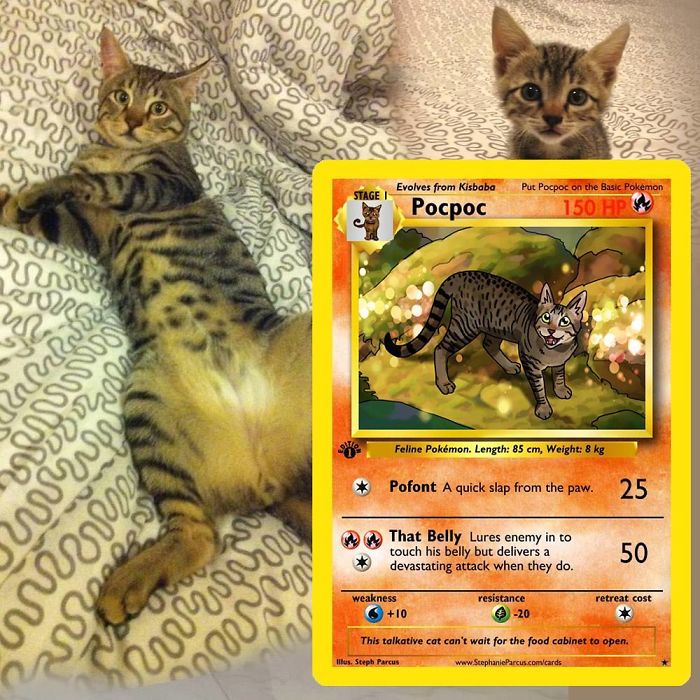 This Artist Transforms Any Pet Into Pokémon Cards