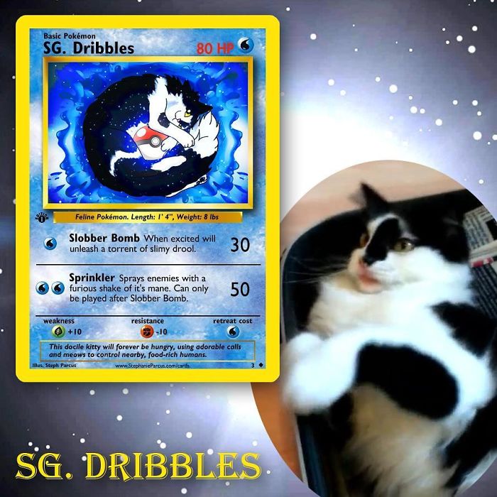 This Artist Transforms Any Pet Into Pokémon Cards