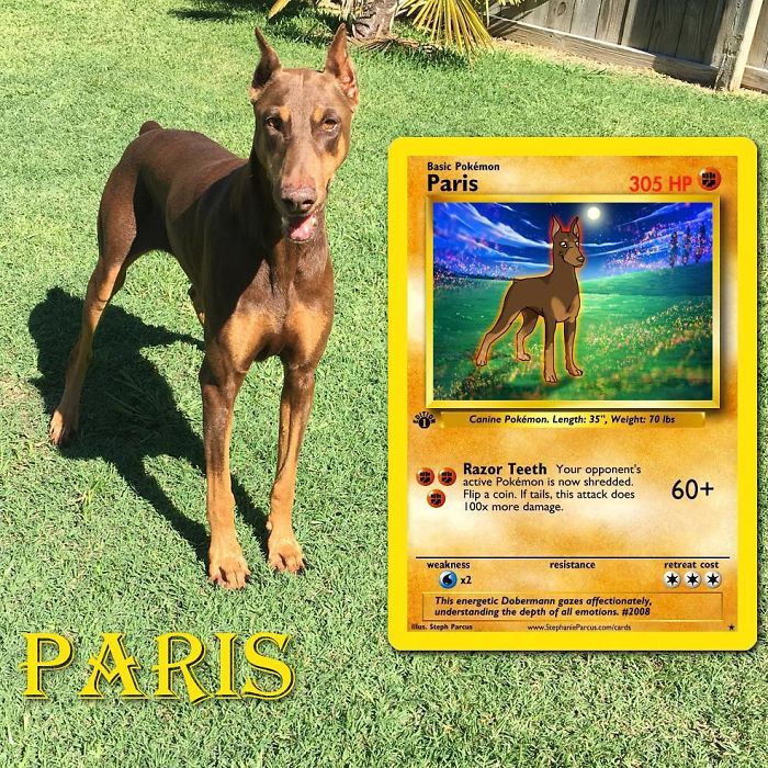 This Artist Transforms Any Pet Into Pokémon Cards
