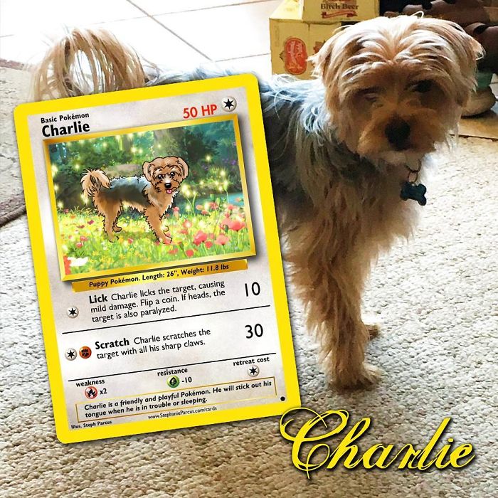 This Artist Transforms Any Pet Into Pokémon Cards