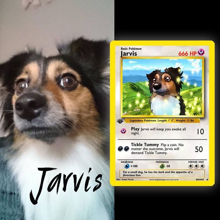 This Artist Transforms Any Pet Into Pokémon Cards