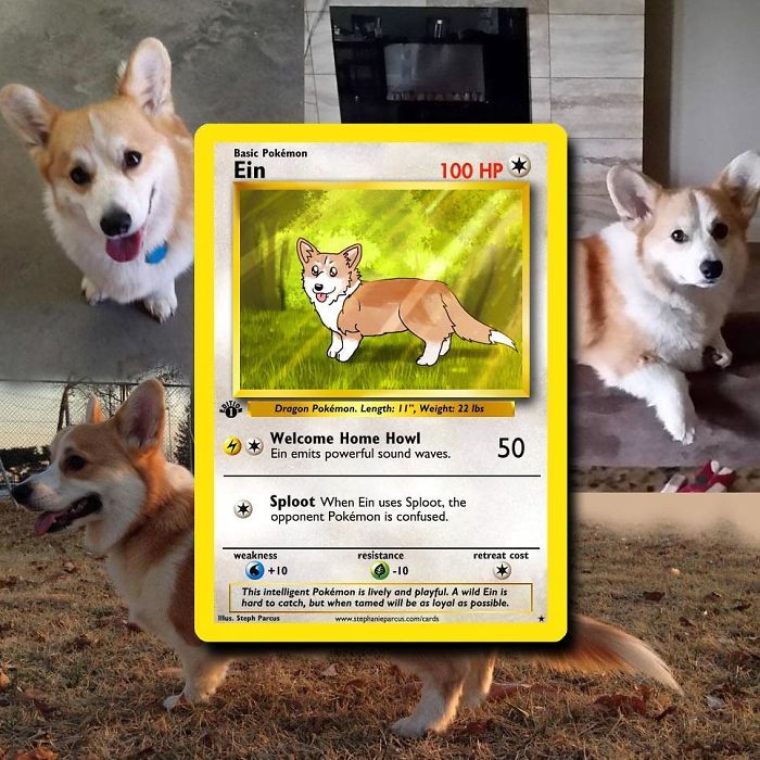 This Artist Transforms Any Pet Into Pokémon Cards
