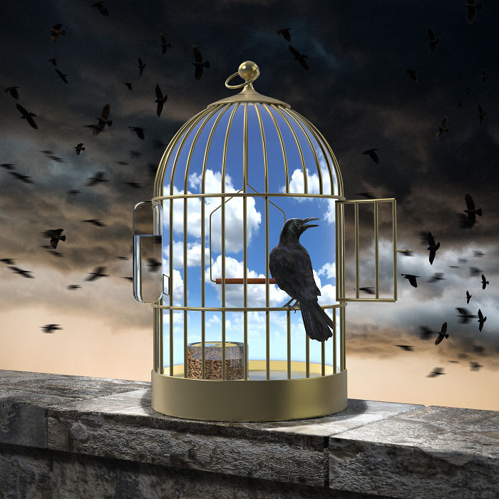 Freedom Or?