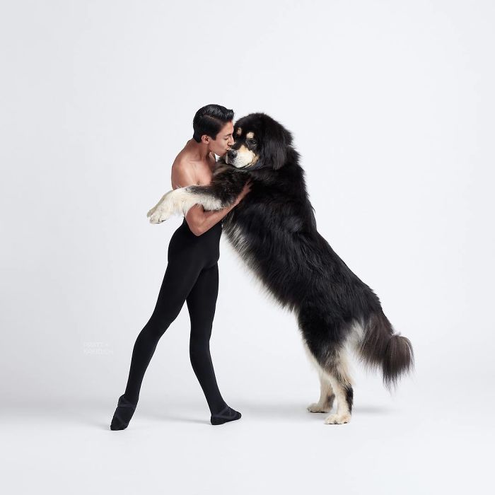 Ballet Dancers And Dogs Pose Together For A Photoshoot And The Result Will Make Your Day (40 Pics)