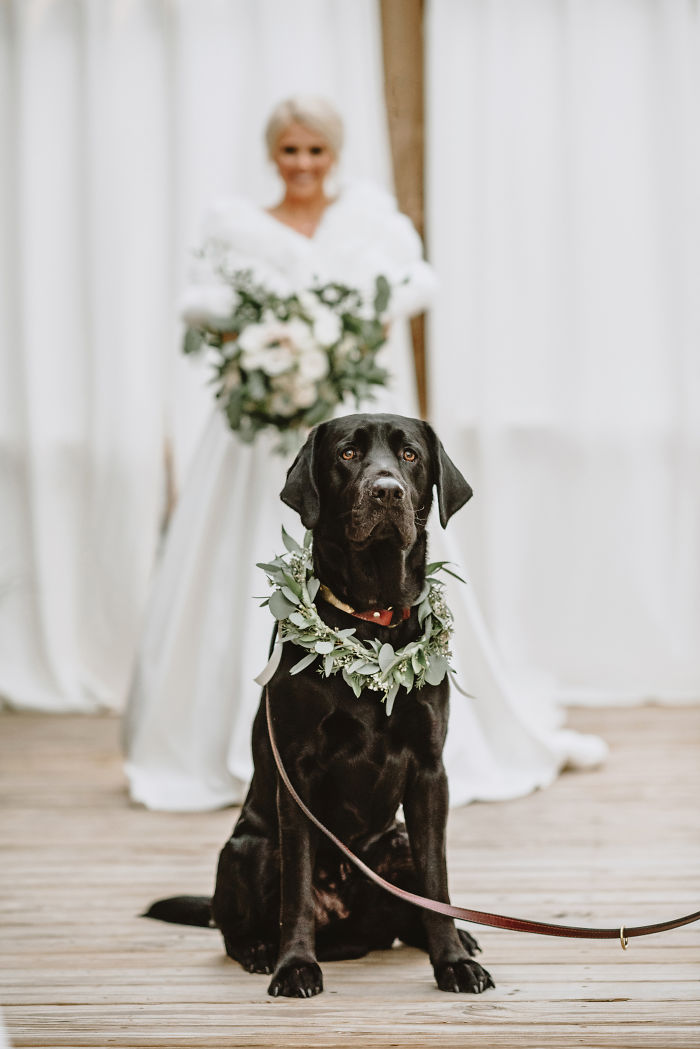  bride decision bring her dog first look 