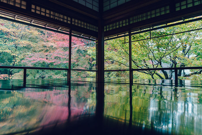  photograph amazing autumn colors kyoto 