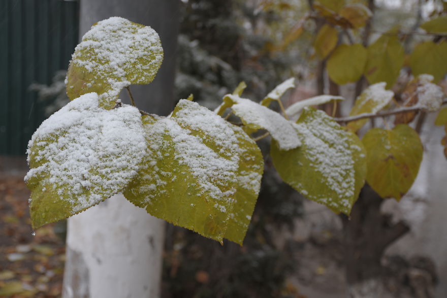 I Made My First Photoshoot In The Snow In Tashkent, Uzbekistan