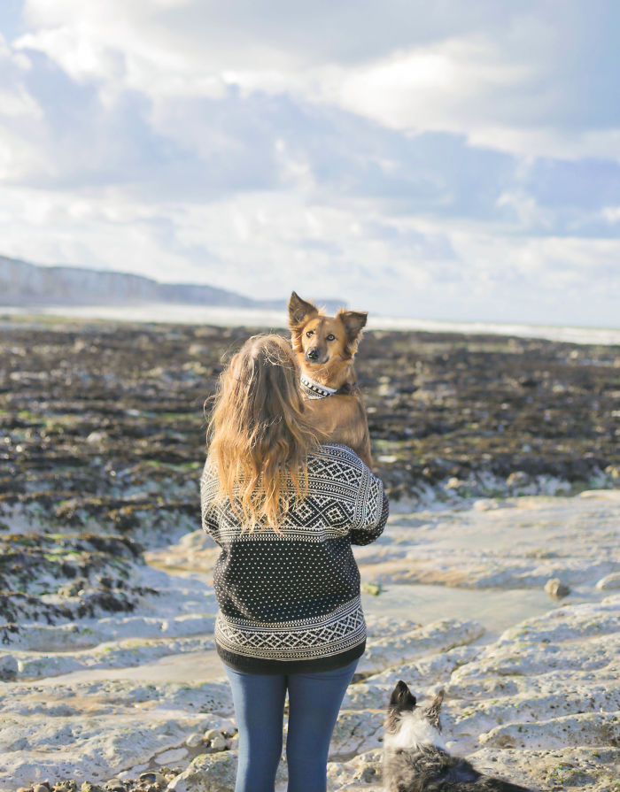 Dog-Outdoor