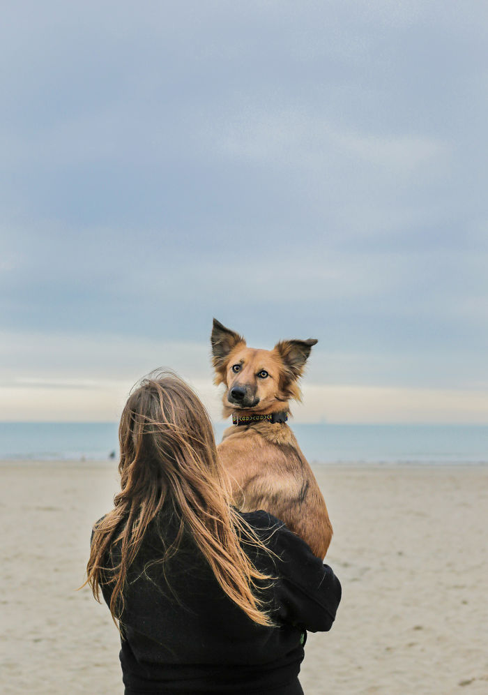 Dog-Outdoor
