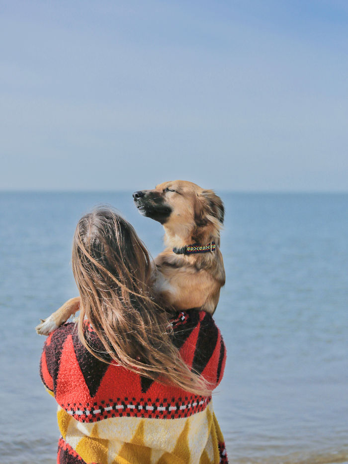 Dog-Outdoor