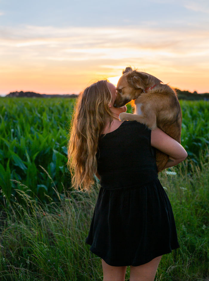 Dog-Outdoor