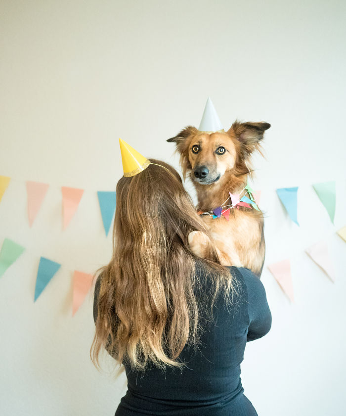 Birthday In Rotterdam