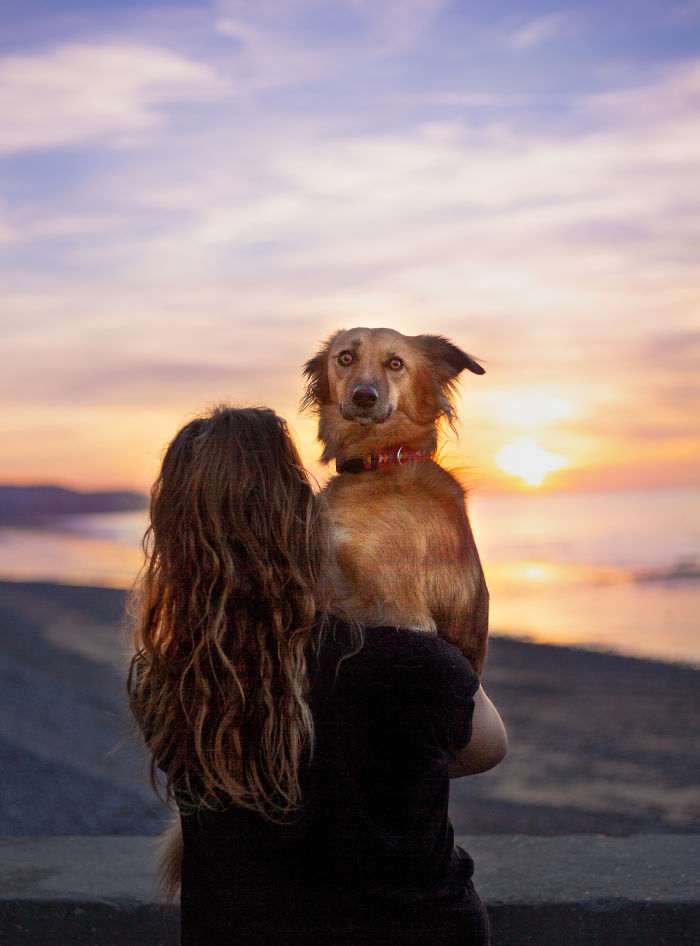 Dog-Outdoor
