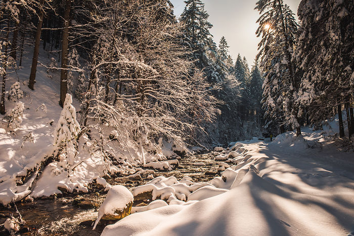 Ive Got Lost In The Winter Wonderland And Captured These Photographs (14 Pics)
