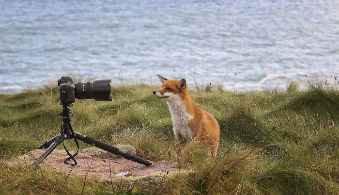  incredible photos show men reuniting fox 