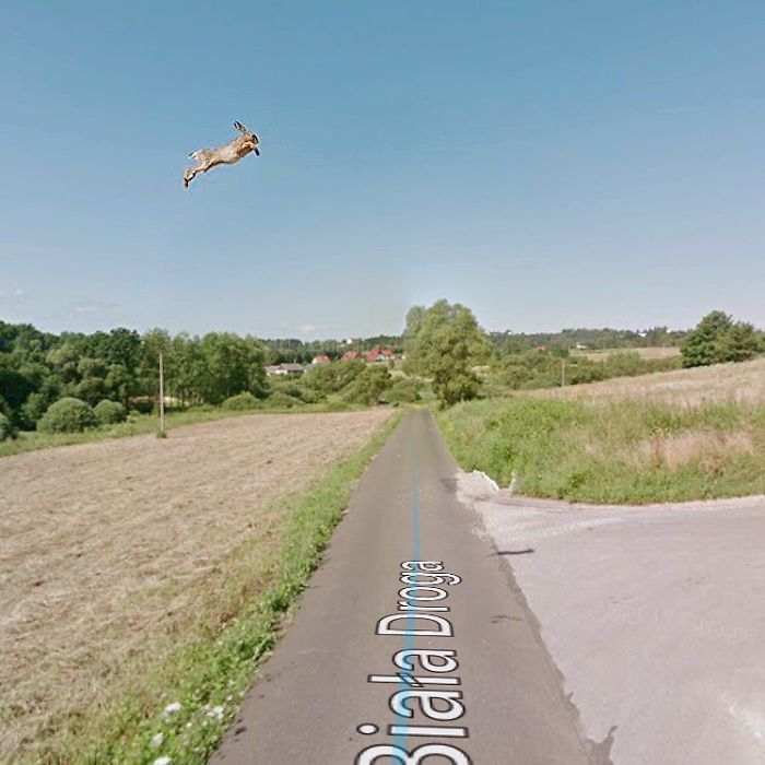 I Used Google Street View To Explore Poland During Quarantine, Heres What I Found (30 Pics)