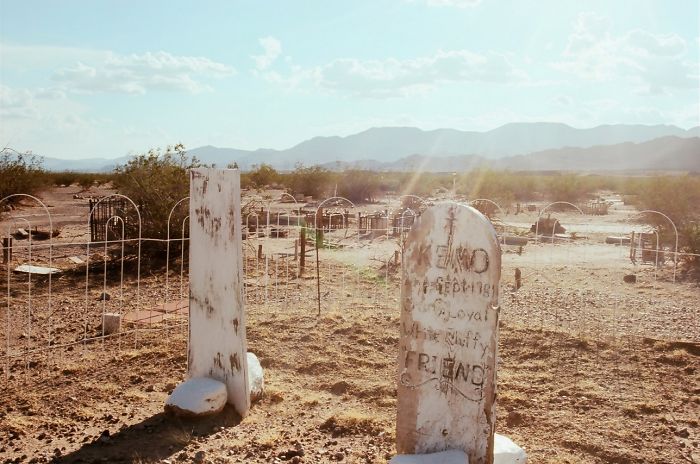 This Pet Cemetery Can Be The Stuff Of Nightmares, But All Ive Ever Felt Out There Is Love