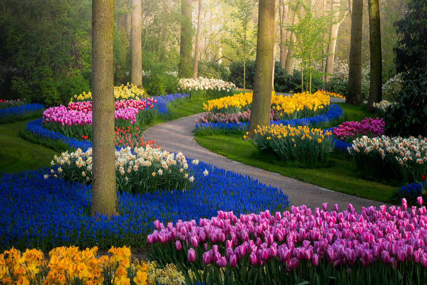  most beautiful flower garden world without 