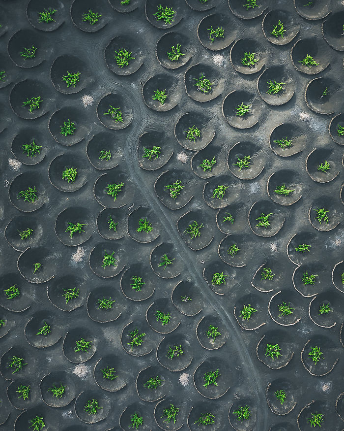  earth patterns captured from above drone 