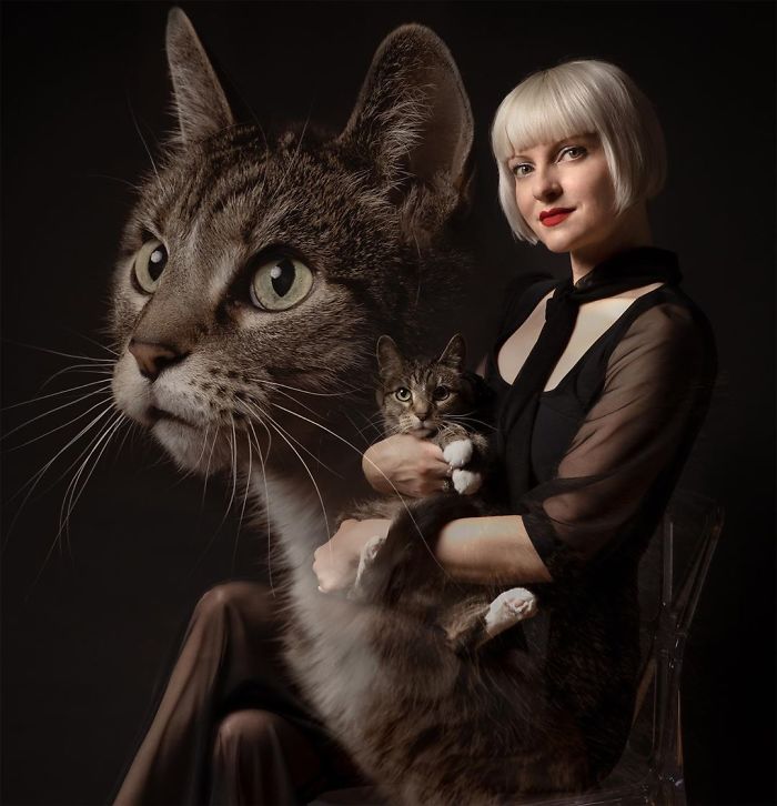  photographer takes hilarious double exposure portraits pets 