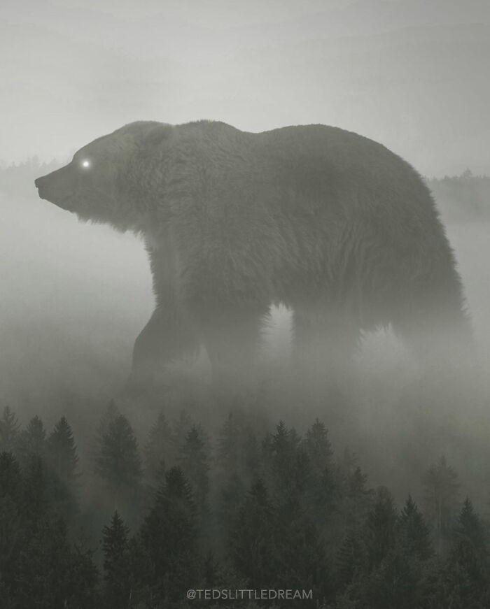 Forest King