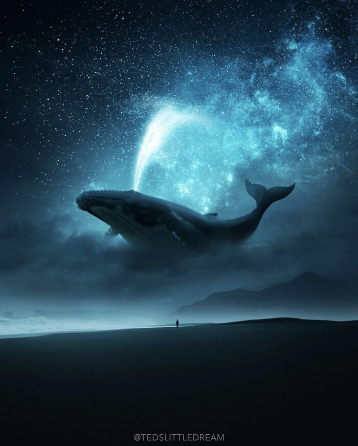Birth Of The Milky Way