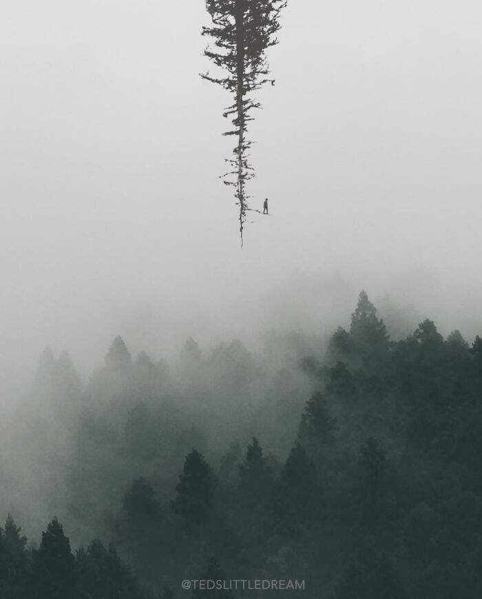 Pluviophile